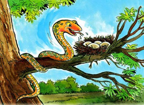 cuentos de panchatantra
